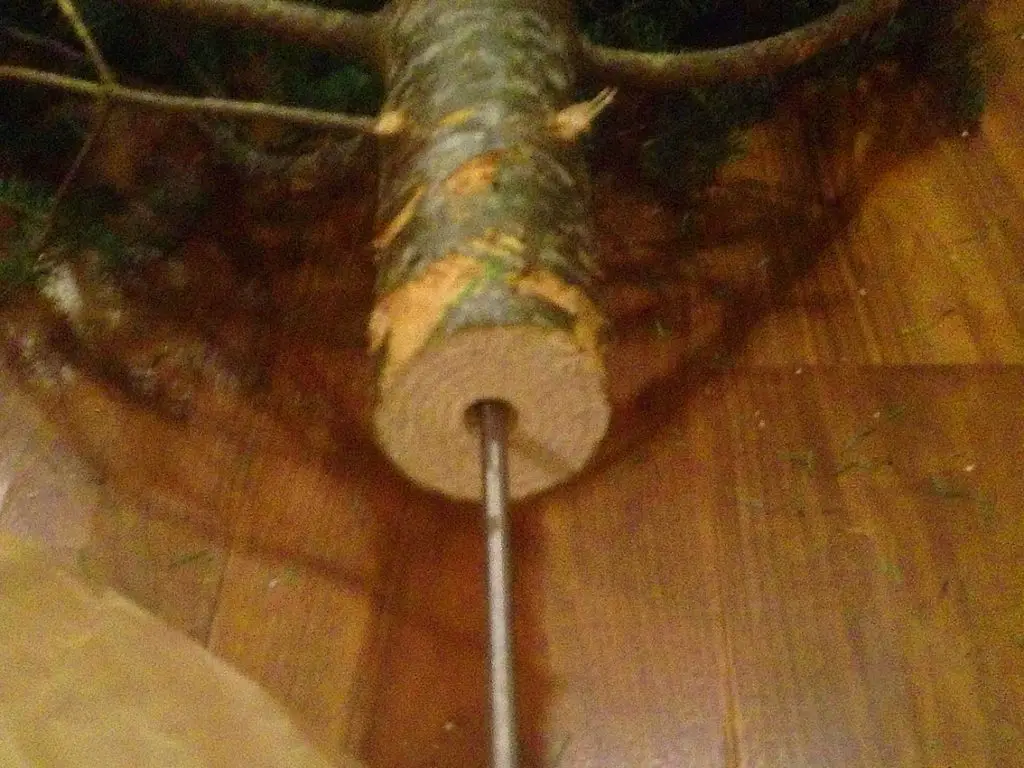 How to Remove a Stuck Drill Bit From Wood? TC Tools