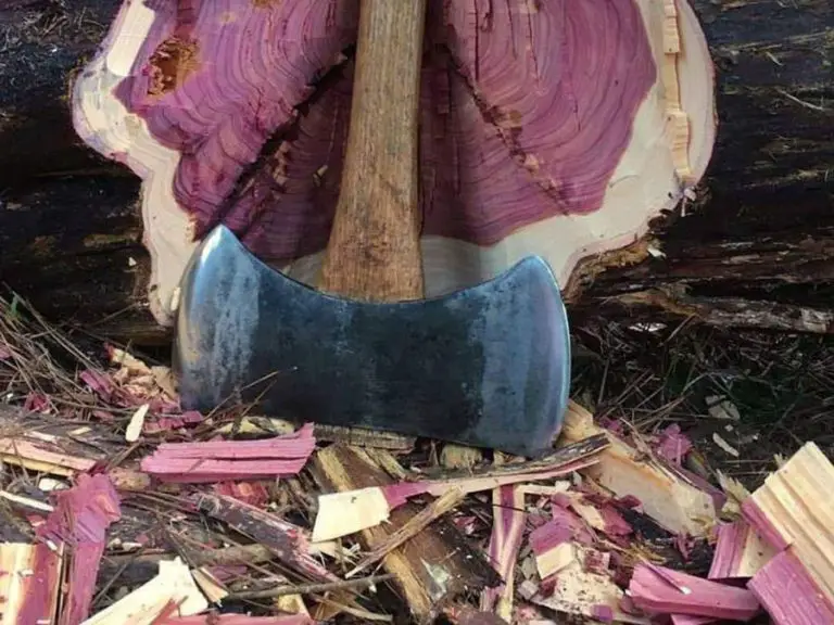 How to Drill into Cedar Wood? TC Tools