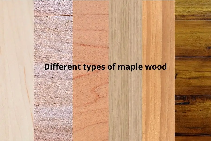 How to Drill Into Maple Wood? | TC Tools